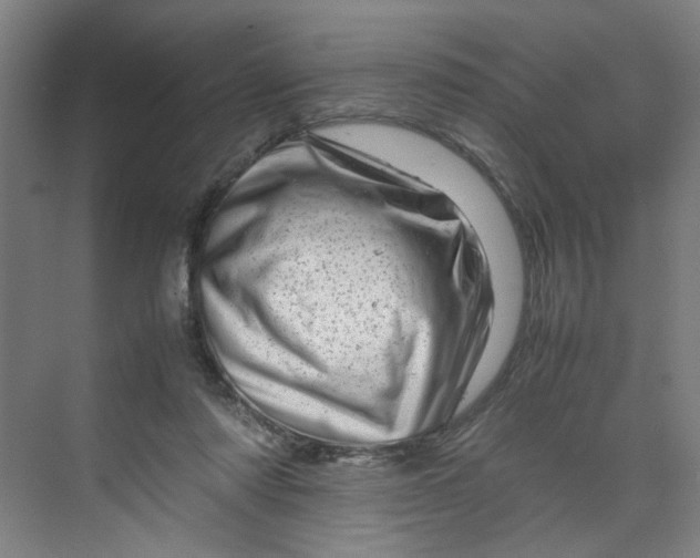 X0000070190310200606091539