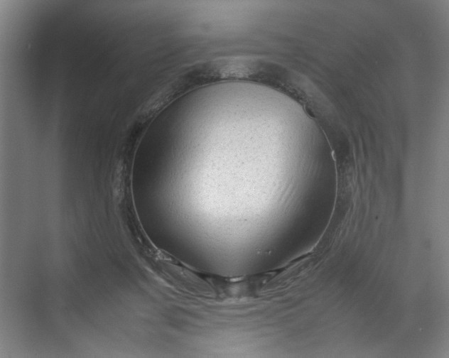 X0000070190311200606091539