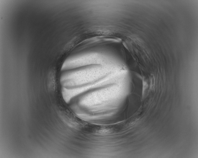 X0000070190312200606091539