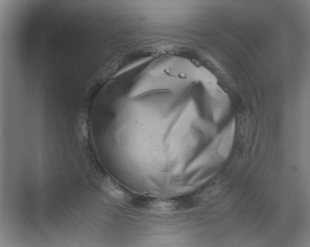 X0000070190313200606091539