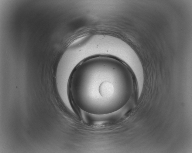 X0000070190315200606091539