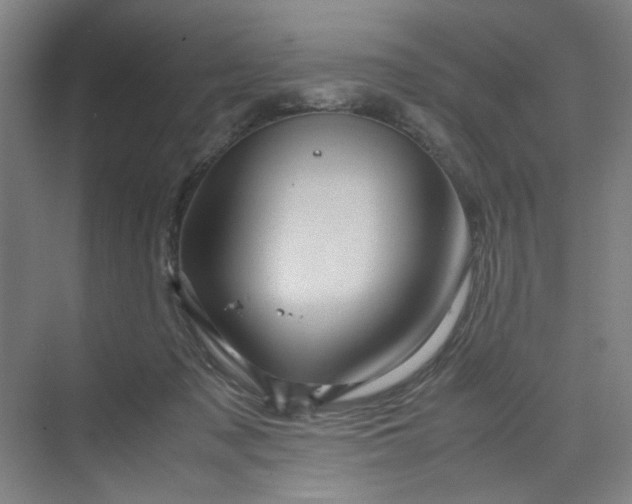 X0000070190317200606091539