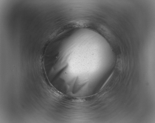 X0000070190318200606091539