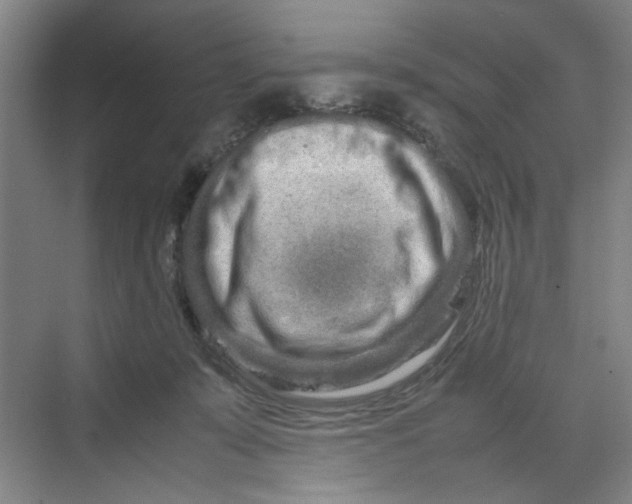 X0000070190319200606091539