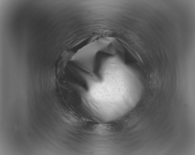 X0000070190320200606091539