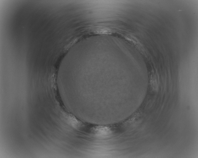 X0000070190322200606091539