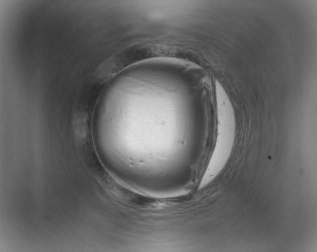 X0000070190323200606091539