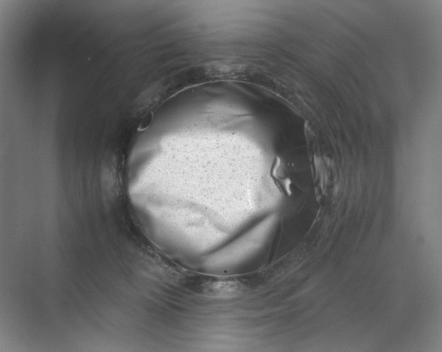 X0000070190324200606091539