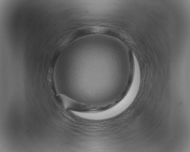 X0000070190325200606091539