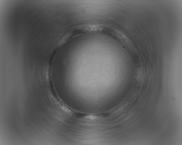 X0000070190326200606091539