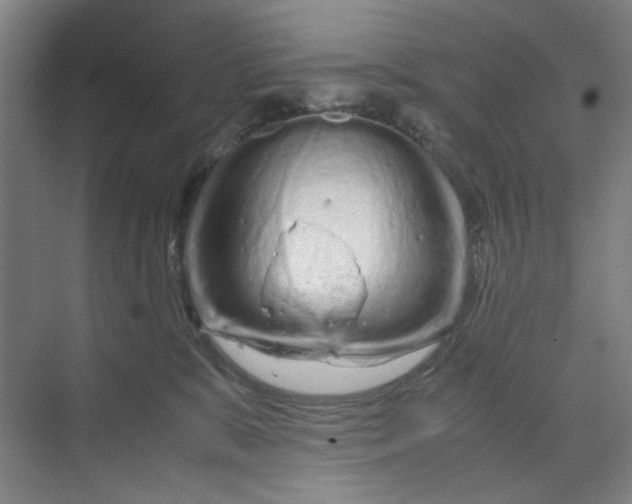 X0000070190327200606091539