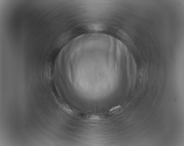 X0000070190330200606091539