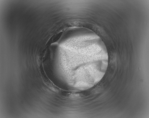 X0000070190332200606091539