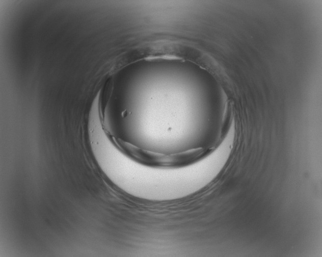 X0000070190333200606091539