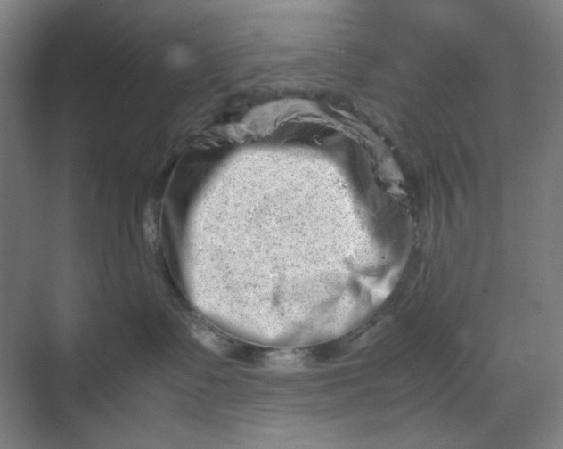 X0000070190335200606091539