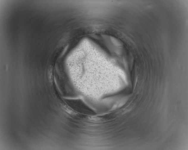 X0000070190336200606091539