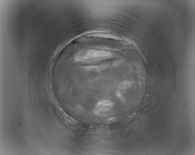 X0000070190337200606091538