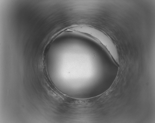 X0000070190338200606091538