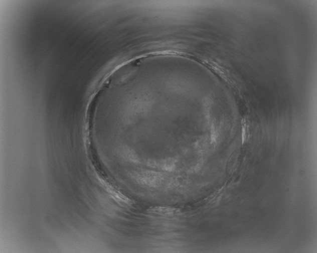 X0000070190339200606091538