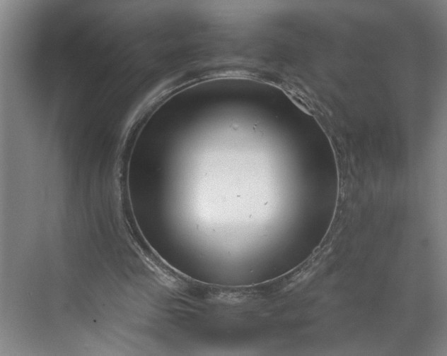 X0000070190341200606091538