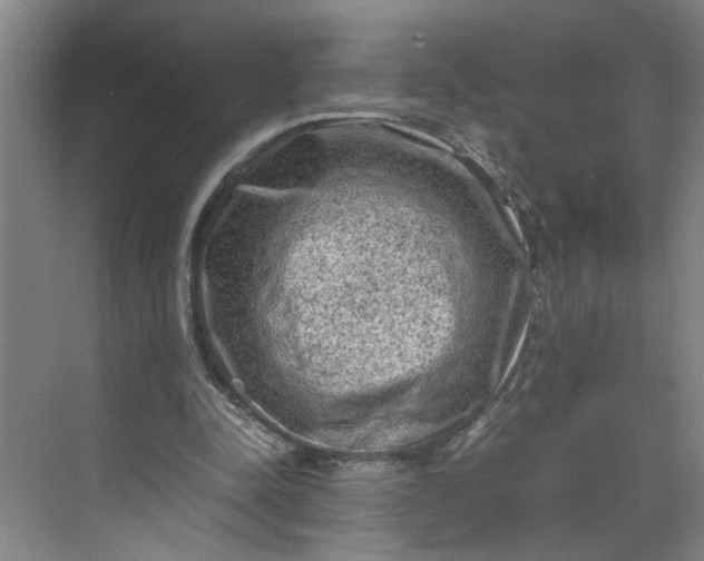 X0000070190342200606091538