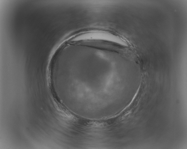 X0000070190343200606091538