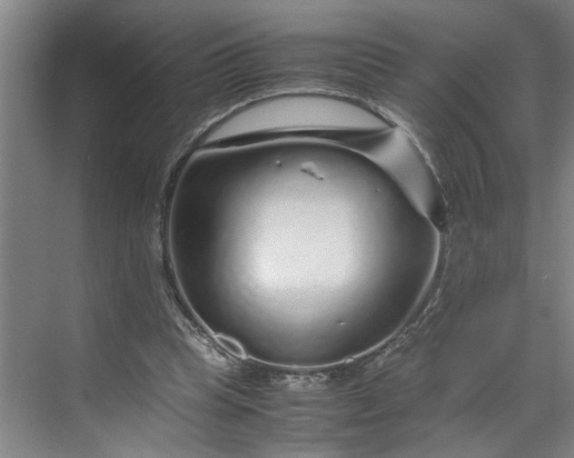 X0000070190345200606091538