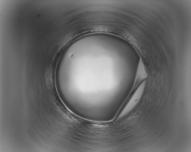 X0000070190347200606091538