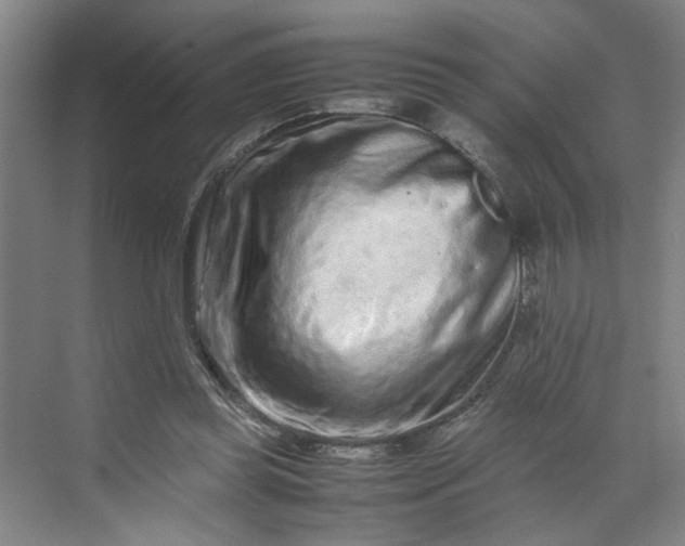 X0000070190349200606091538