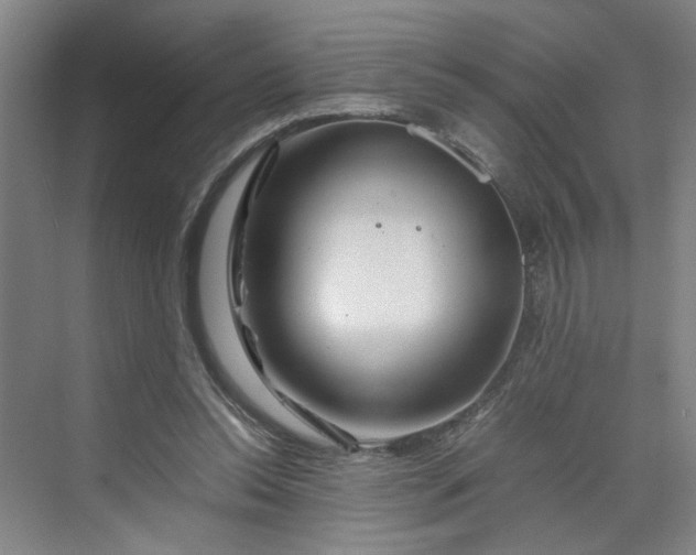 X0000070190350200606091538