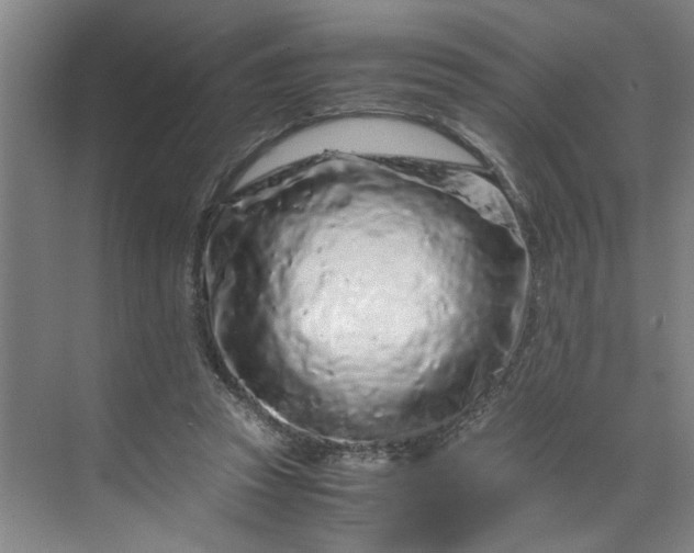 X0000070190353200606091538