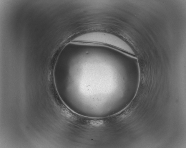 X0000070190355200606091538