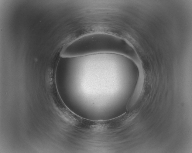 X0000070190356200606091538