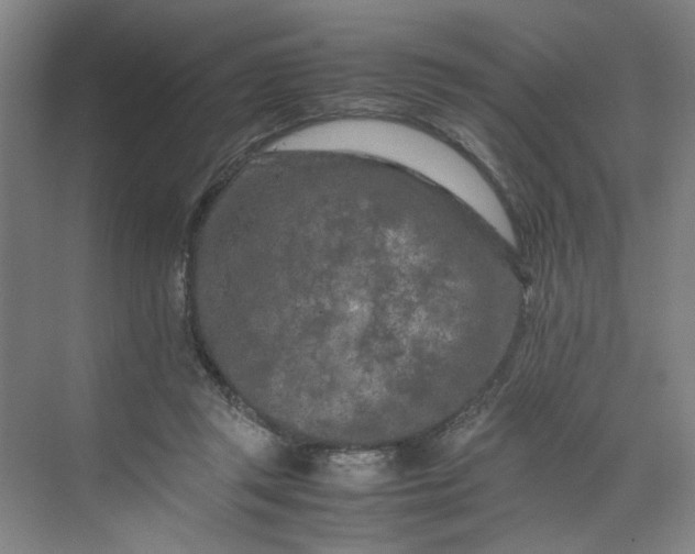 X0000070190357200606091538