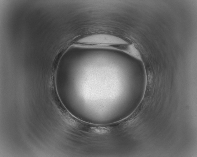 X0000070190359200606091538