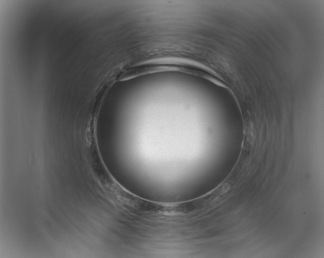 X0000070190360200606091538