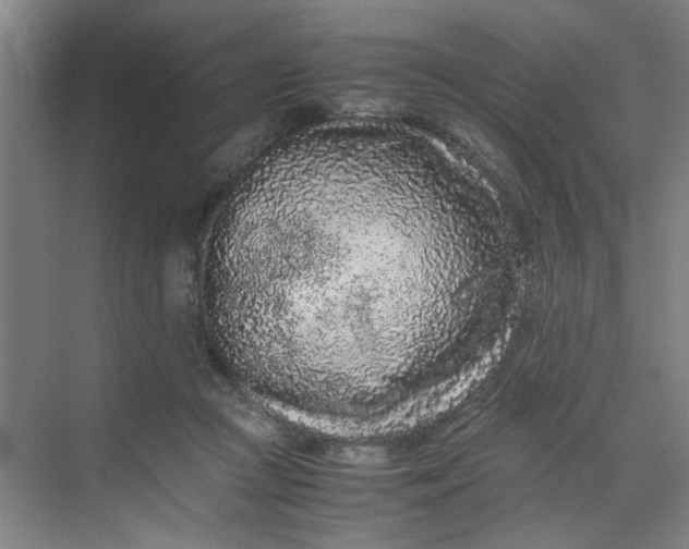 X0000070190361200606091538