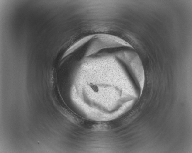 X0000070190362200606091538