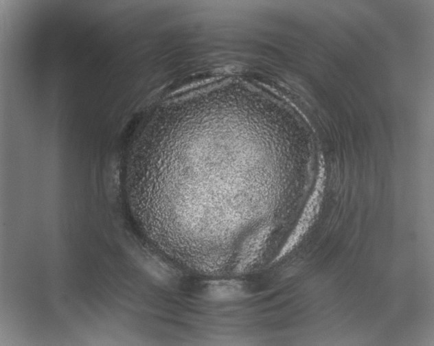 X0000070190363200606091538