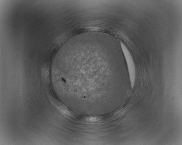 X0000070190365200606091538