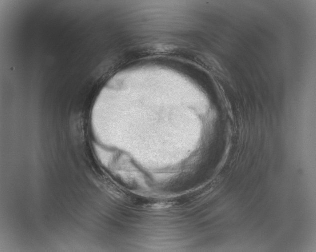 X0000070190366200606091539