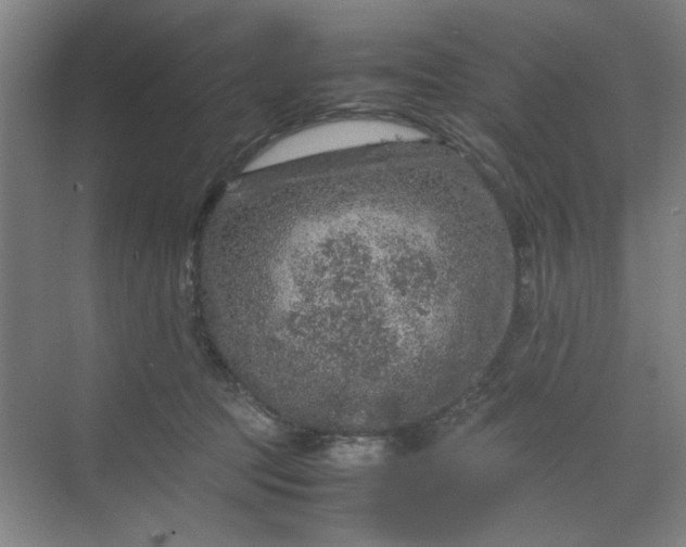 X0000070190369200606091539