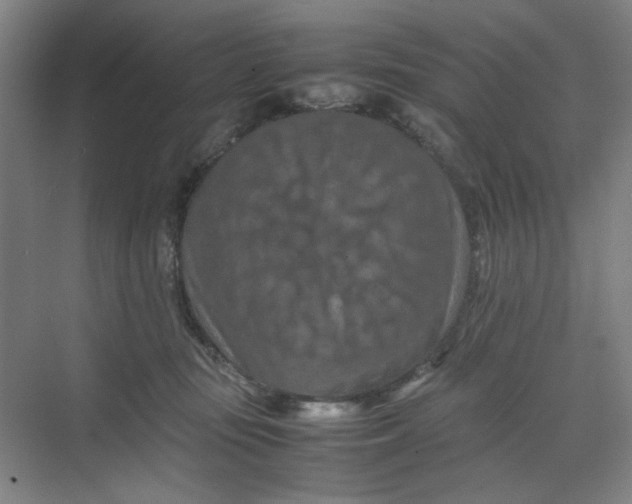 X0000070190371200606091539