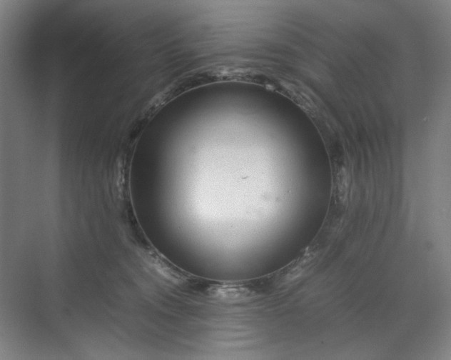 X0000070190372200606091539