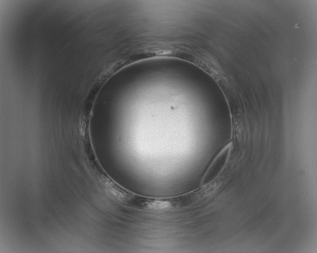 X0000070190374200606091539