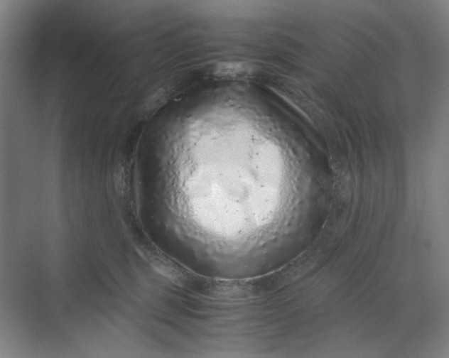 X0000070190375200606091539