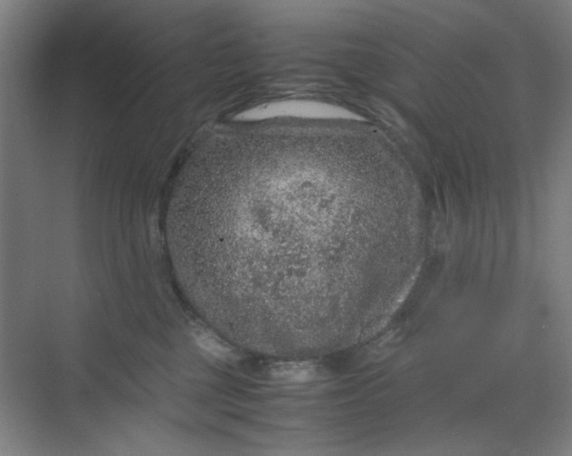 X0000070190377200606091539