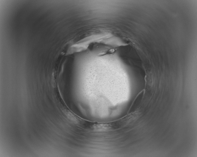 X0000070190378200606091539