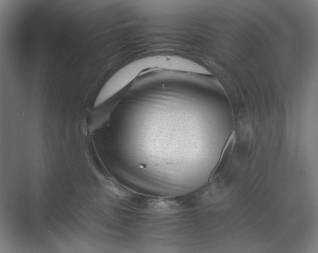 X0000070190379200606091539