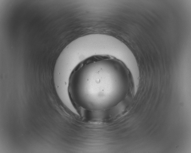 X0000070190380200606091539